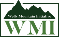 WMI Scholars